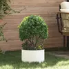 Image de vidaXL Anneau de jardinière Blanc 30 x 30 x 20 cm Acier laminé à froid