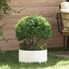 Image de vidaXL Anneau de jardinière 5 pcs Blanc 40 x 40 x 20 cm