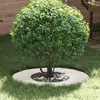 Image de vidaXL adapté pour anneaux d'arbre plats 5 pcs Blanc Ø30 / 60 cm Acier