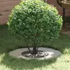 Image de vidaXL adapté pour anneau d'arbre plat Argent Ø30 / 60 cm