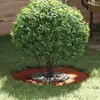 Image de vidaXL adapté pour anneau d'arbre plat Marron Ø30 / 60 cm Acier patiné