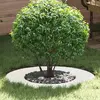 Image de vidaXL adapté pour anneaux d'arbre plats 5 pcs Blanc Ø40 / 70 cm Acier