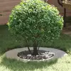 Image de vidaXL adapté pour anneaux d'arbre plats 5 pcs Argent Ø40 / 70 cm