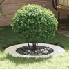 Image de vidaXL adapté pour anneau d'arbre plat Blanc Ø50 / 80 cm Acier