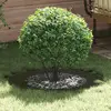 Image de vidaXL adapté pour anneau d'arbre plat Vert olive Ø50 / 80 cm Acier