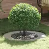 Image de vidaXL adapté pour anneaux d'arbre plats 5 pcs Argent Ø50 / 80 cm
