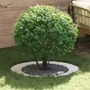 Image de vidaXL adapté pour anneau d'arbre plat Blanc Ø60 / 90 cm Acier