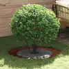 Image de vidaXL adapté pour anneaux d'arbre plats 5 pcs Marron Ø60 / 90 cm