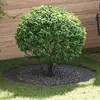 Image de vidaXL adapté pour anneaux d'arbre plats 5 pcs Noir Ø90 / 120 cm Acier