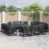 Image de vidaXL Ensemble de canapé de jardin 12 pcs Noir Métal