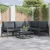 Image de vidaXL Ensemble de canapé de jardin avec coussin 4 pcs Noir Acier