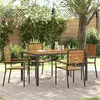Image de vidaXL Chaises empilables de jardin 4 pcs Marron et Noir