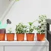 Image de vidaXL Pot à fleurs rond 50 pcs Terre cuite Ø 10 x 8 cm Plastique