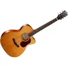 Image de Cort Guitare électro-folk GOLD OC6