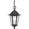 Image de EGLO Suspension Laterna 4 - Noir