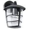 Image de Eglo Aloria 60W