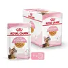 Image de ROYAL CANIN-Royal Canin Sachet Gelée Kitten Sterilised - 12 x 85 g