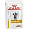 Image de ROYAL CANIN 12 x 85 g