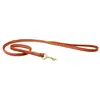 Image de Laisse pour chien en cuir roulé Weatherbeeta Marron M 1001695014