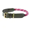 Image de Collier pour chien en cuir corde Weatherbeeta Rouge M 1001700002