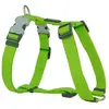 Image de Harnais Red Dingo Lisse - Citron