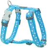 Image de Harnais réglable pour chien Red Dingo Bleu 20 mm F7977-DH-ST-TQ-20