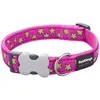 Image de Collier pour chien réglable Red Dingo Rose 25 mm x 41/63 cm F5498-DC-ST-HP-25