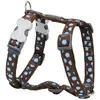 Image de Harnais réglable pour chien Red Dingo Marron 20 mm F8032-DH-S2-BR-20