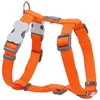Image de Harnais réglable pour chien Red Dingo Orange 20 mm F7855-DH-ZZ-OR-20