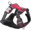 Image de Harnais rembourré pour chien Red Dingo Rouge SM F8212-DH-PH-RE-SM