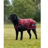 Image de Manteau pour chien Weatherbeeta Comfitec Premier Deluxe Rouge 80 cm 1028800011