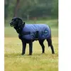 Image de Manteau pour chien impérméable Weatherbeeta Comfitec Classic Bleu 45 cm 1029048026