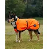 Image de Manteau pour chien Weatherbeeta Comfitec Reflective Deluxe 300D Orange 35 cm 1029050024