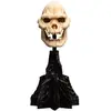 Image de Weta collectibles Statuette Skull of Lurtz