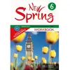 Image de New Spring anglais 6e A1 : workbook