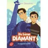 Image de Les frères Diamant. Vol. 1. Le faucon malté
