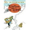 Image de Les aventures de Tintin. Vol. 2004. Tintin au Tibet