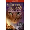 Image de La guerre des clans : cycle 5, l'aube des clans. Vol. 4. L'étoile flamboyante