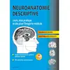 Image de Neuroanatomie descriptive : cours, atlas pratique et clés pour l'imagerie médicale