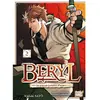 Image de Beryl : de paysan à maître d'armes. Vol. 2