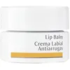 Image de Dr. Hauschka - Lip Balm Anti-Wrinkles Dr. Hauschka Baume 4.5 Ml