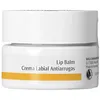 Image de Soins & bases lèvres Dr. Hauschka  Crème Lèvres Anti-rides P13933340