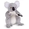 Image de Peluche Koala