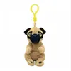 Image de Beanie Bellies Clip Izzy Le Chien