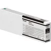Image de Epson T8041 (C13T804100) Cartouche d'encre Noir Photo