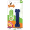 Image de Jouet Os Dental Moderate Chew Pour Chien - Nylabone - Xs