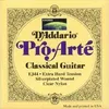 Image de D'addario Pro Arte Ej44 Accessoires Guitares
