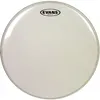 Image de Evans G1 10'' Transparente - Peau De Tom