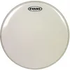 Image de Evans G1 16'' Transparente - Peau De Tom