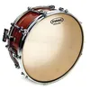 Image de Evans Cs14s - Peau De Concert Pour Caisse Claire Strata 700, 14 Pouces